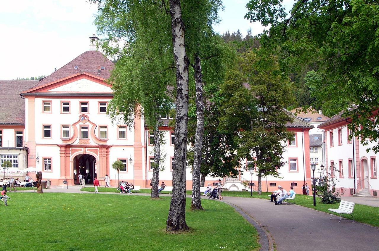 WÄLDER: Quartier St.Blasien St. Blasien Exterior foto